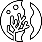 Suncare Banner