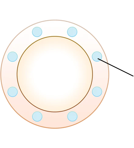 玻尿酸GL及菸鹼醯胺