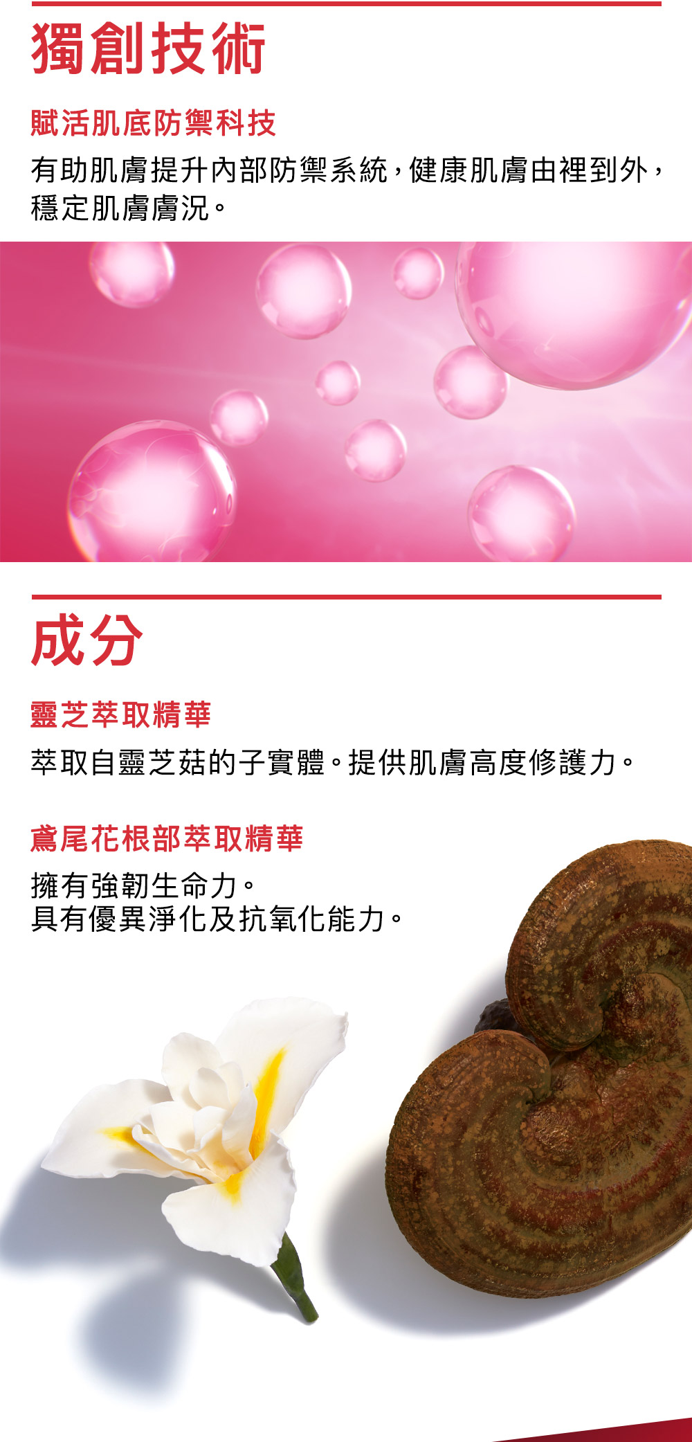 賦活肌底防禦科技有助肌膚提升內部防禦系統,健康肌膚由裡到外,穩定肌膚膚況。靈芝萃取精華
萃取自靈芝菇的子實體。提供肌膚高度修護力。鳶尾花根部萃取精華
擁有強韌生命力。具有優異淨化及抗氧化能力。