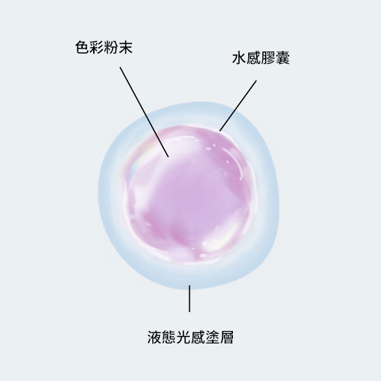 SHISEIDO Makeup Other