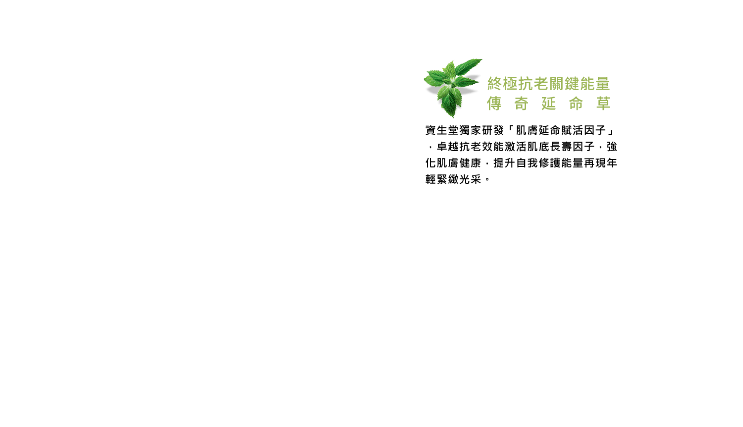 終極抗老關鍵能量 傳奇延命草,資生堂獨家研發「肌膚延命賦活因子」,卓越抗老效能激活肌底長壽因子,強化肌膚健康,提升自我修護能量再現年輕緊緻光采