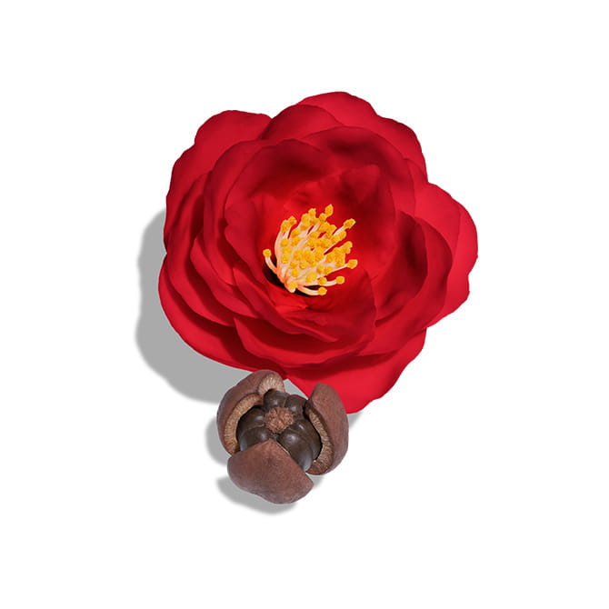 Ultimune Ingredients