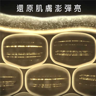 高效滲透超緊緻